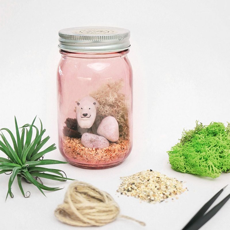 【让我自己挑选】05复古透粉圆瓶 / 桌上型微造景盆栽 简易版 - 植栽 - 植物．花 粉红色