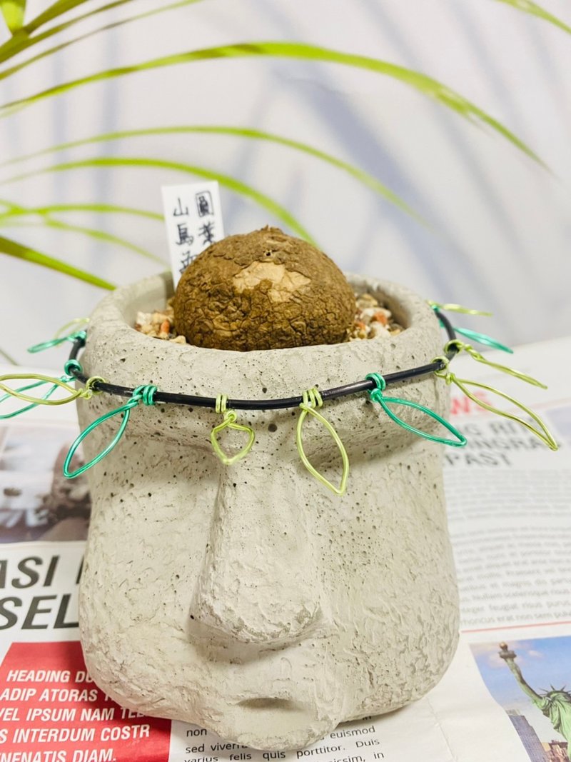 趴趴摩艾圆叶山乌龟组盆 开幕志庆 新居落成 升官乔迁 婚礼 生日 - 植栽/盆栽 - 水泥 银色