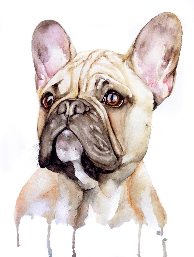 Custom Watercolor Dog Portrait French Bulldog - 订制画像 - 纸 咖啡色
