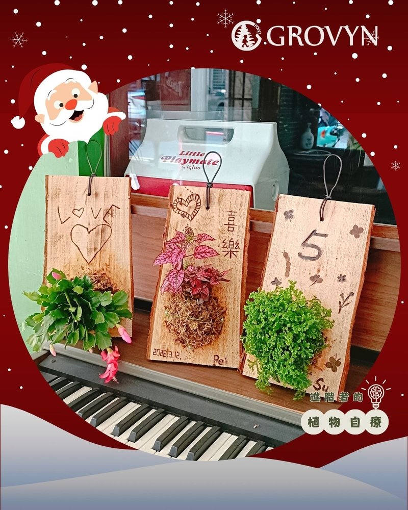 【绿上板】有温度的植物卡片・用慢火与绿意烙印你的专属故事 - 植栽 - 植物．花 