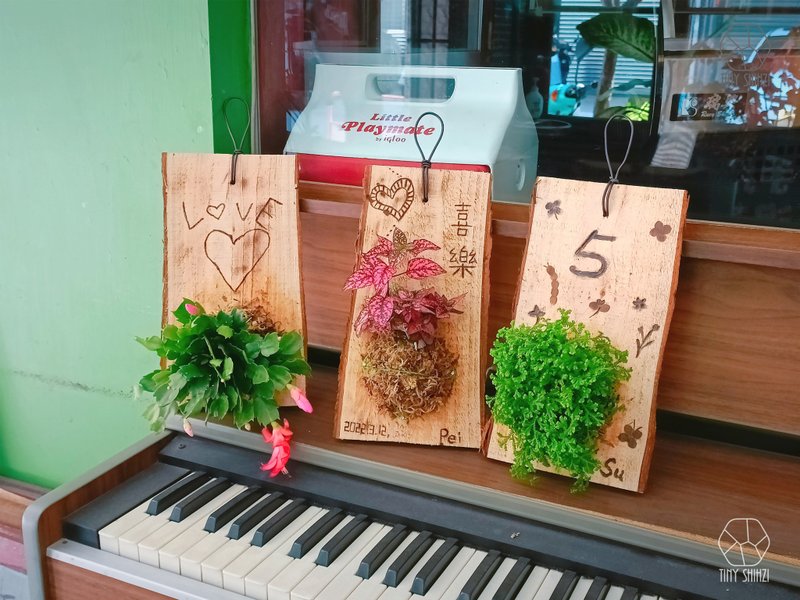 高雄【绿上板】有温度的植物卡片・用慢火与绿意烙印你的专属故事 - 植栽 - 植物．花 