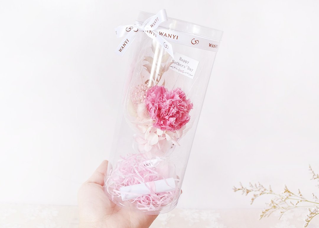 WANYI 康乃馨玫瑰圆筒花束    干燥花/绣球/兔尾草/不雕花/永生花/送礼/母亲节/妈妈/布置 - 植栽/盆栽 - 植物．花 粉红色
