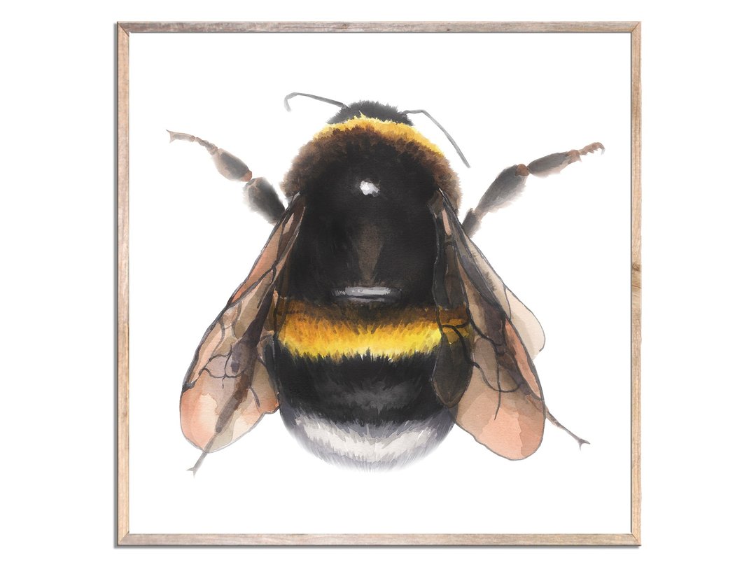 Bee Print Art Print Bumblebee Watercolor Painting Honey Bee Watercolor Wall Art - 海报/装饰画/版画 - 纸 黄色