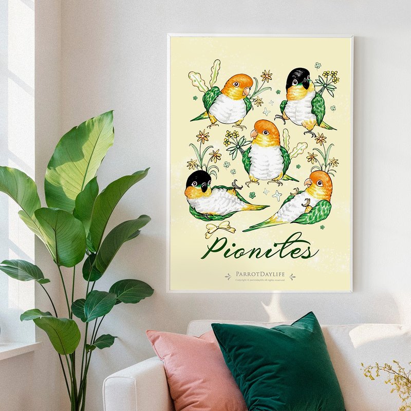 海报 / 凯克鹦鹉图鉴系列海报 - 海报/装饰画/版画 - 纸 