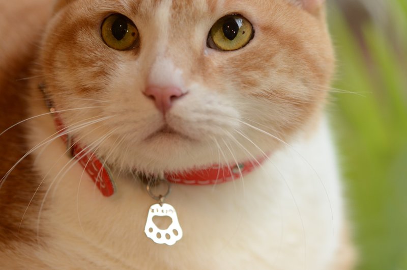 台北手作体验 I 文化币 I 银吊饰 I 宠物吊牌 I 手作银吊饰 - 金工/饰品 - 银 