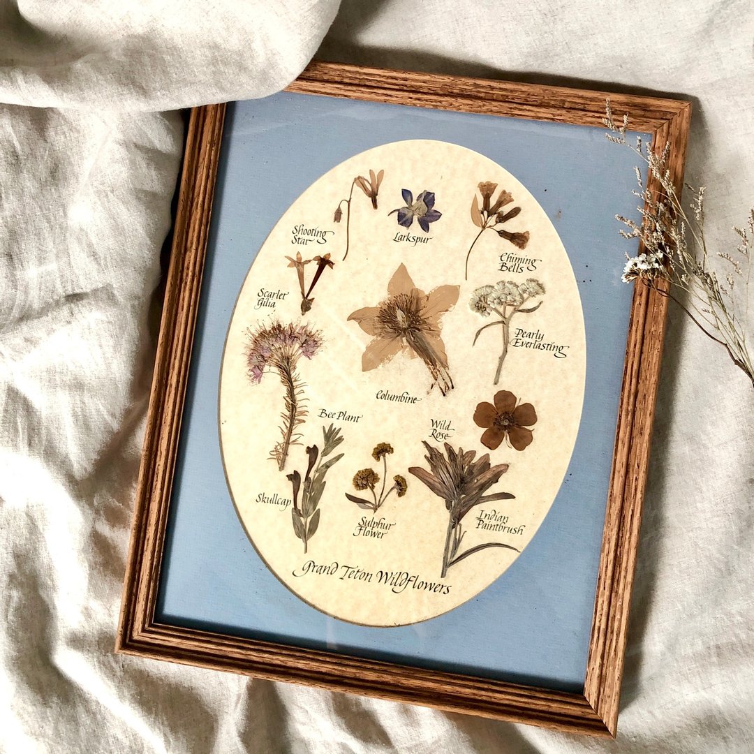 早期美国压花壁挂 大提顿国家公园wildflowers 极美 - 画框/相框 - 其他材质 