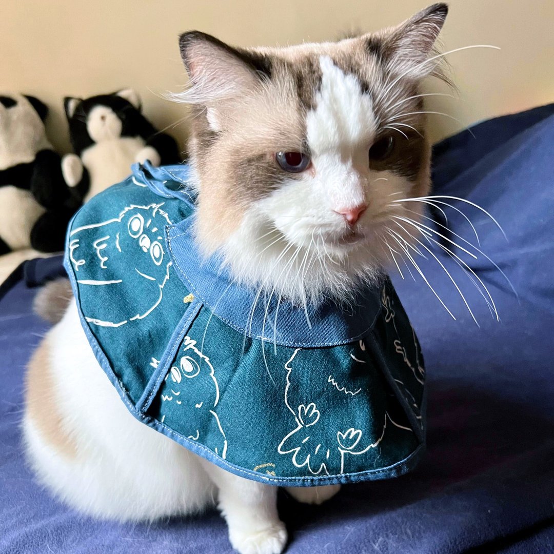 猫咪专用头套 防抓防舔 伊莉莎白项圈 - 衣/帽 - 棉 多色