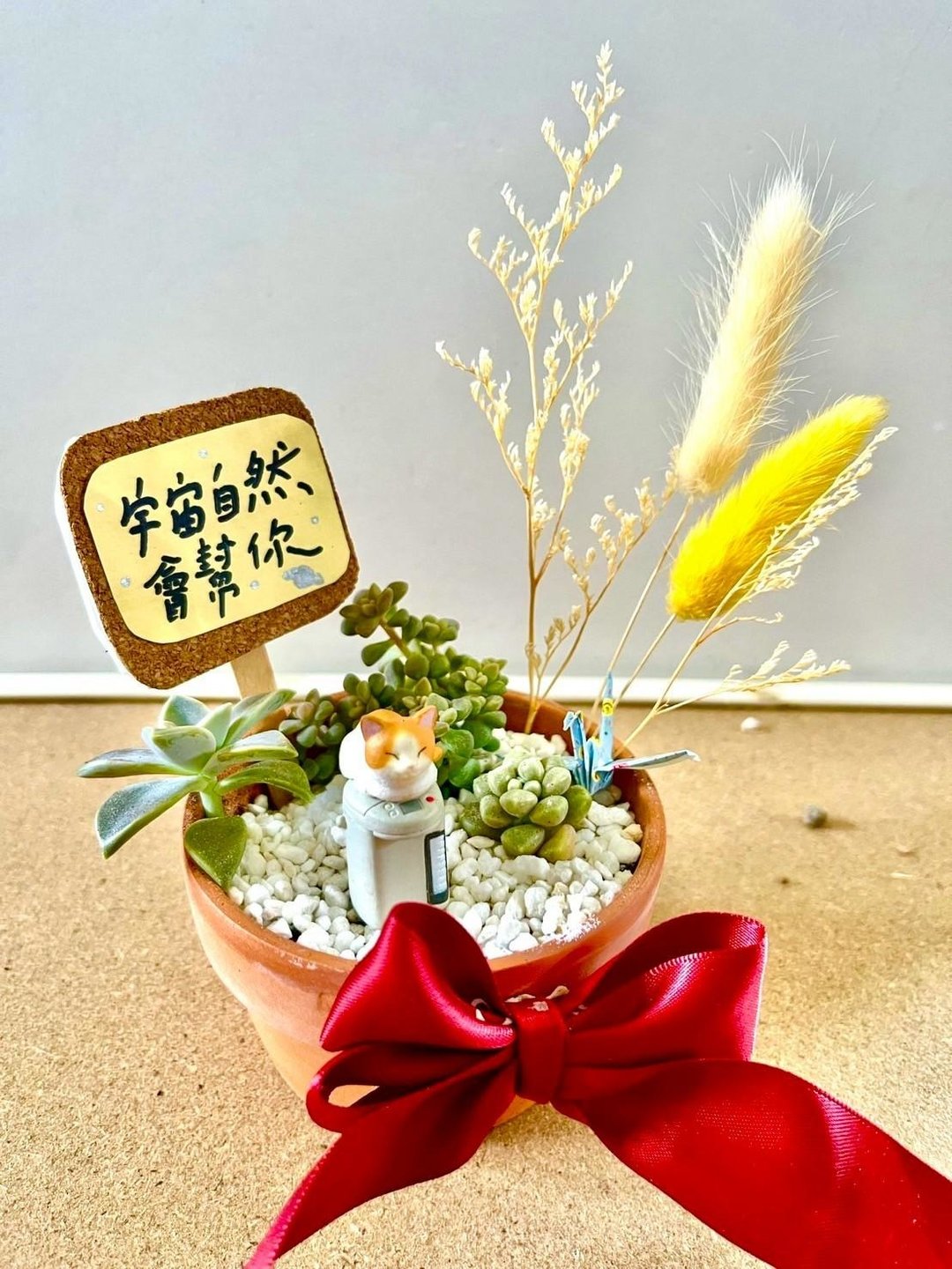 台中 多肉组盆 多肉植物 日式枯山水 微景观 猫奴送礼 猫咪 生日 - 植栽/盆栽 - 植物．花 绿色