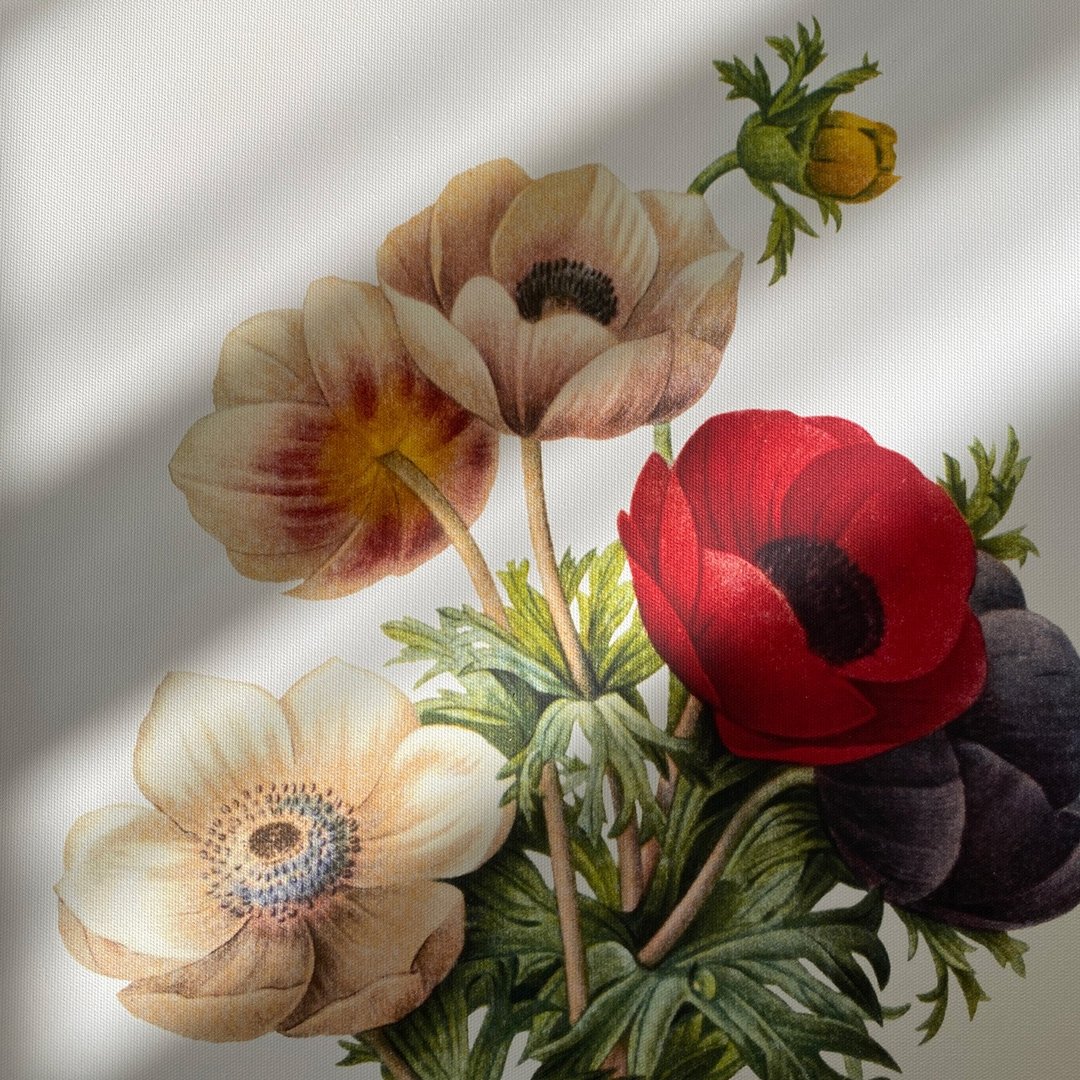 【微瑕特惠】【福利品】花语 • 银莲花 - 花卉挂画/居家布置 - 海报/装饰画/版画 - 棉．麻 多色