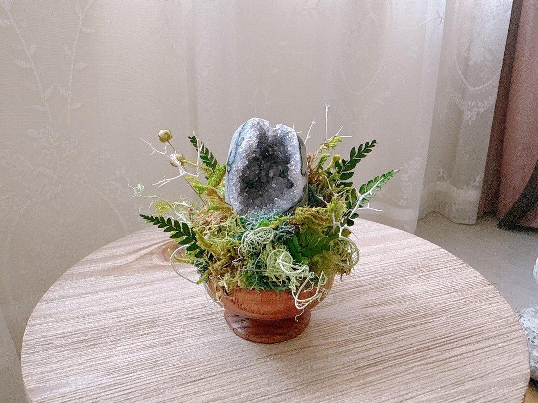 紫水晶 晶镇 浅浅小窝窝 迷你小财库。微景观永生叶材 绿植栽 - 植栽/盆栽 - 水晶 紫色