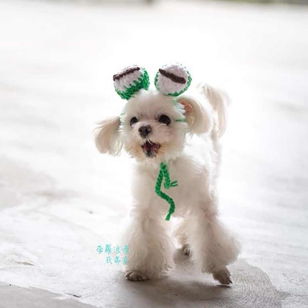 毛线编织帽/宠物毛线帽/青蛙造型帽/犬猫头套/宠物狗狗猫咪毛线帽 - 衣/帽 - 棉 多色