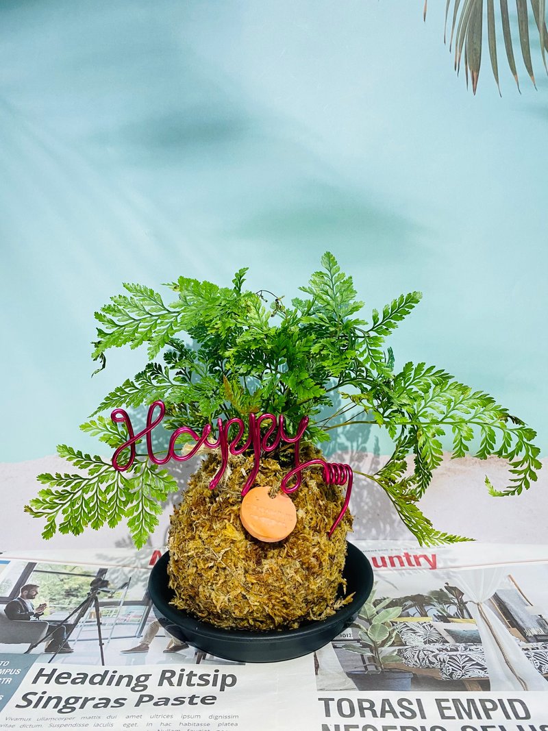 小品水苔球 森林系壁植 室内文青植栽(含底盆及吊牌) - 植栽/盆栽 - 其他材质 金色