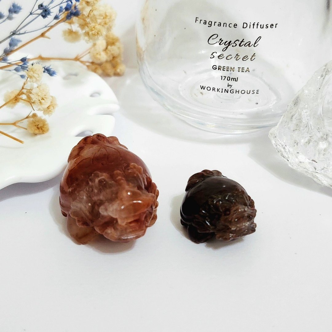 刻叶红兔毛龙龟/满矿千层红幽灵龙龟 - 摆饰 - 水晶 红色
