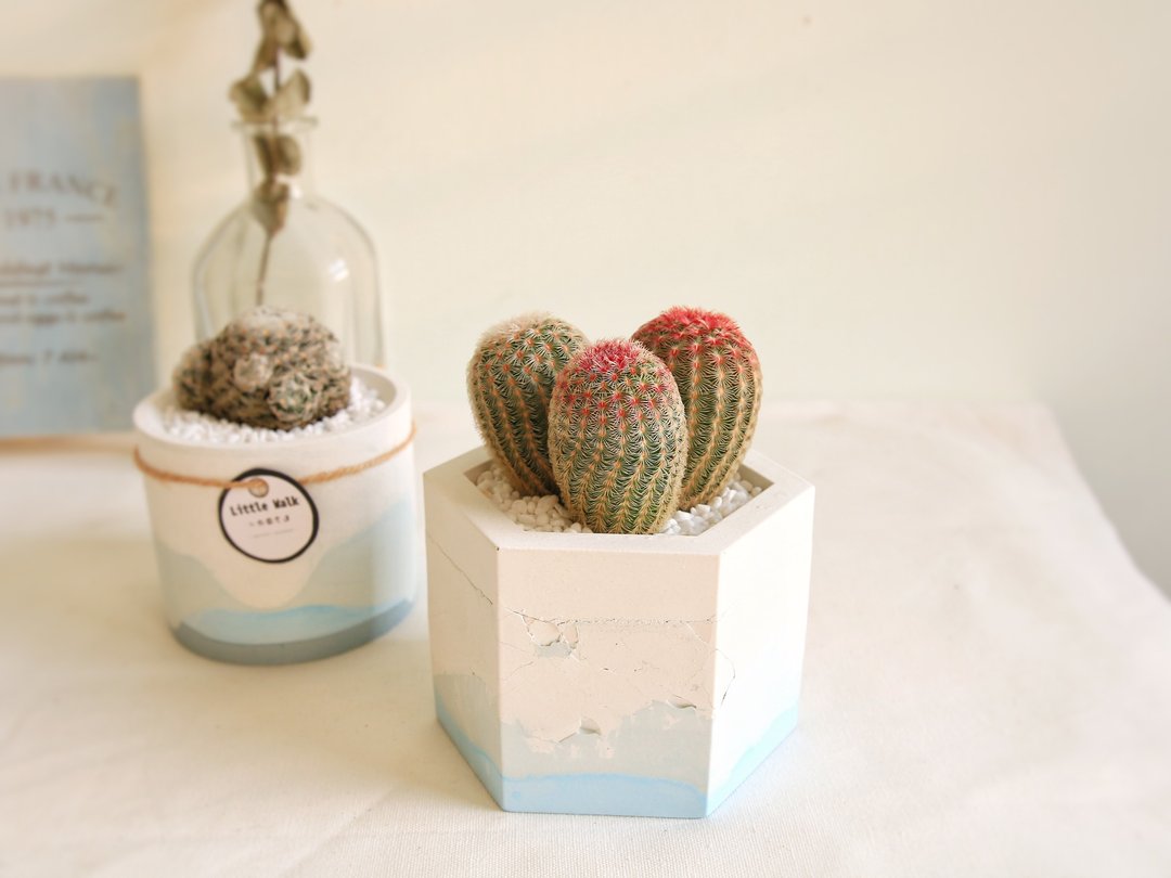 【限量新品】烟花湖景裂纹水泥盆 圣诞礼品 生日礼物 - 植栽/盆栽 - 水泥 蓝色
