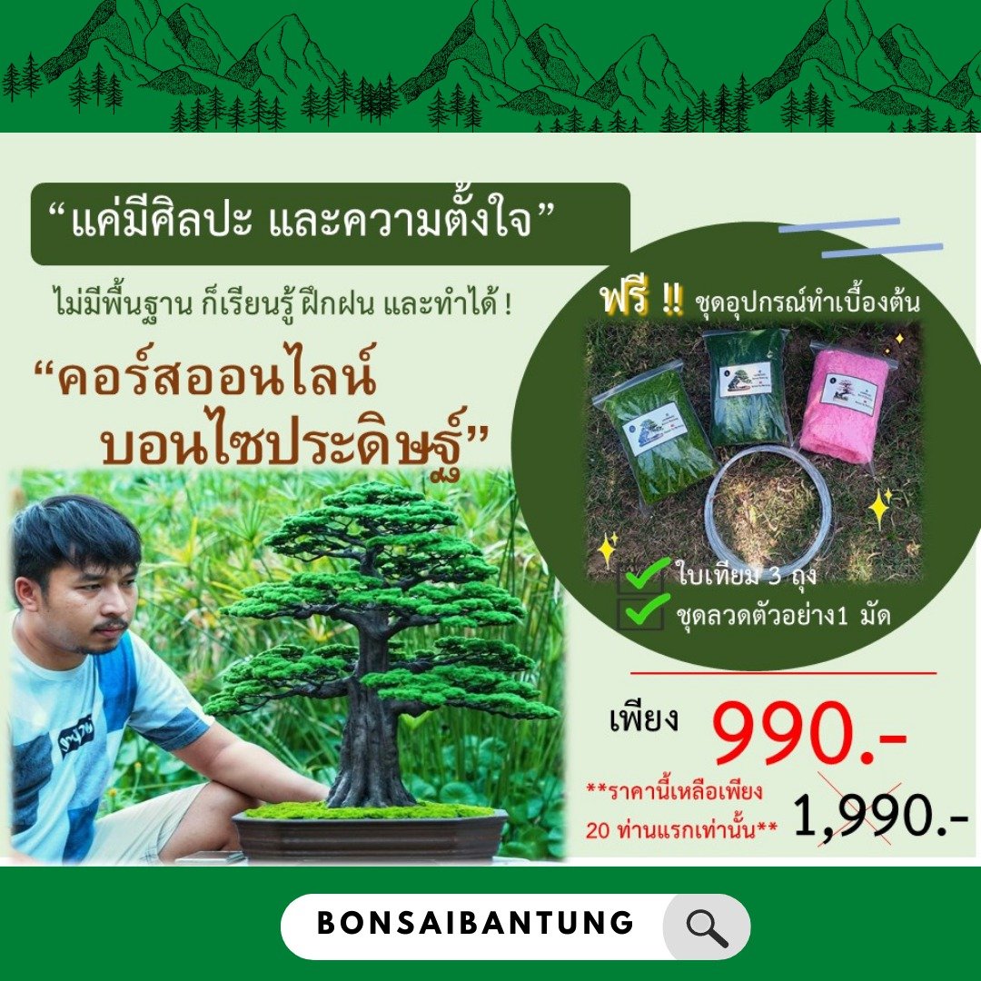 online course Artificial bonsai by Ban Thung Bonsai - 植栽 - 其他材质 
