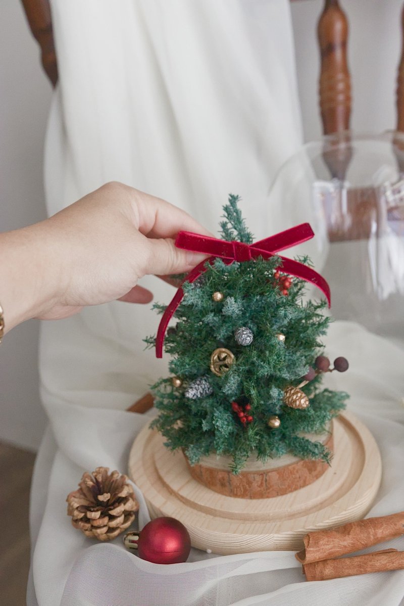 永生圣诞小树钟罩 | 经典雪松 | 飘雪雪松 | 圣诞礼物| 交换礼物 - 干燥花/捧花 - 植物．花 多色