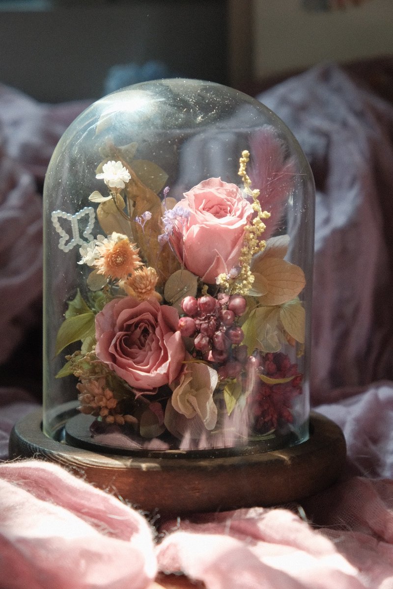 【现货】粉紫色系 永生花玻璃盅罩 蝴蝶珍珠 乔迁送礼 居家摆饰 - 干燥花/捧花 - 植物．花 粉红色