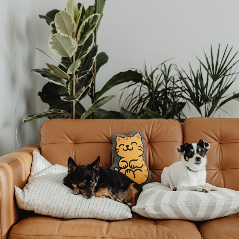 抱抱神明抱枕 | 赤兔 | 港神港地 | 香港神明 - 枕头/抱枕 - 棉．麻 