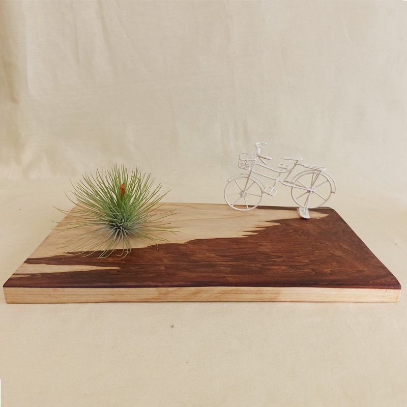 【日本桧木原木座台】-尺寸31.5x20x1.7CM - 摆饰 - 木头 卡其色