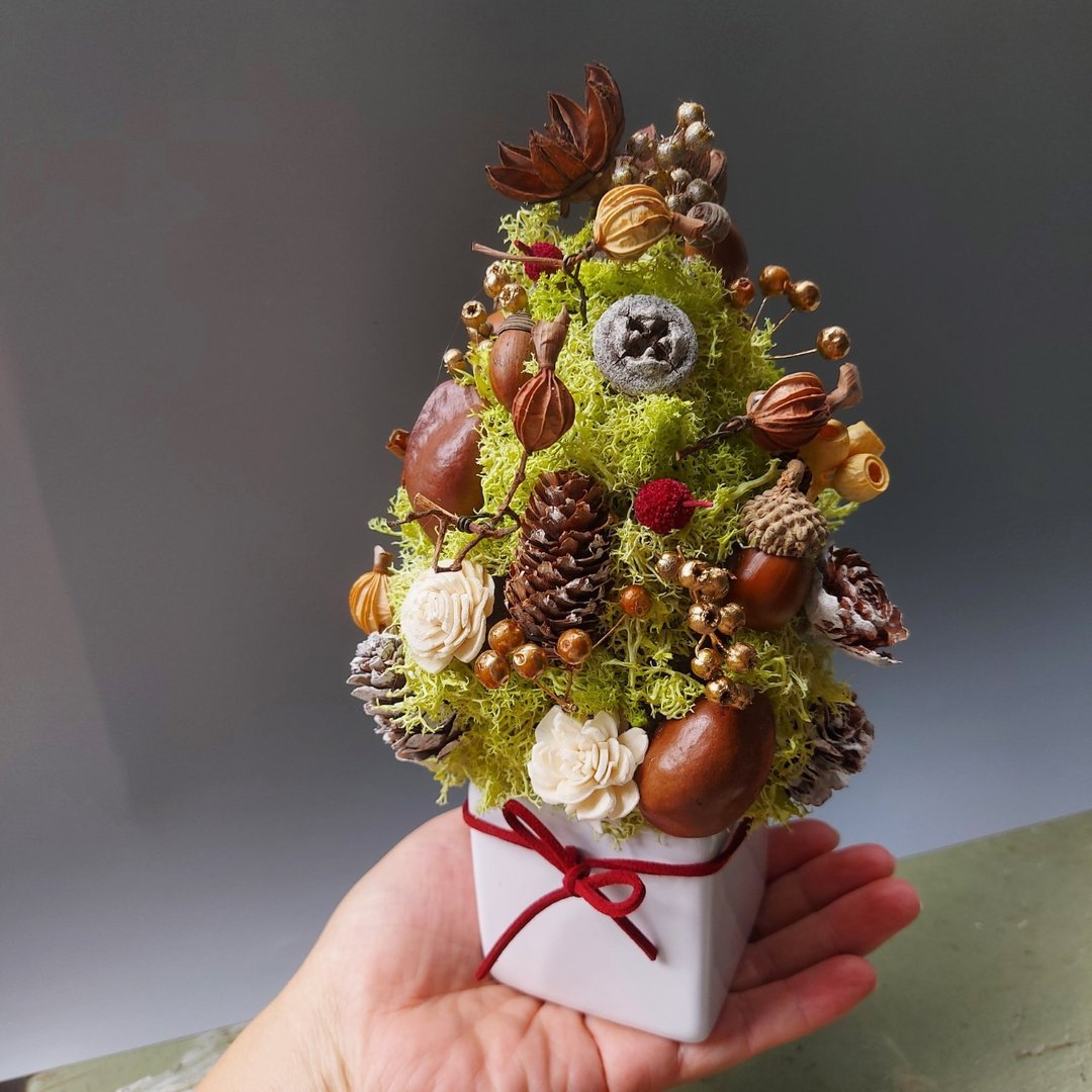 种子圣诞树 果实圣诞树 圣诞树 干燥花 圣诞迷你树 交换礼物 节庆 - 摆饰 - 植物．花 
