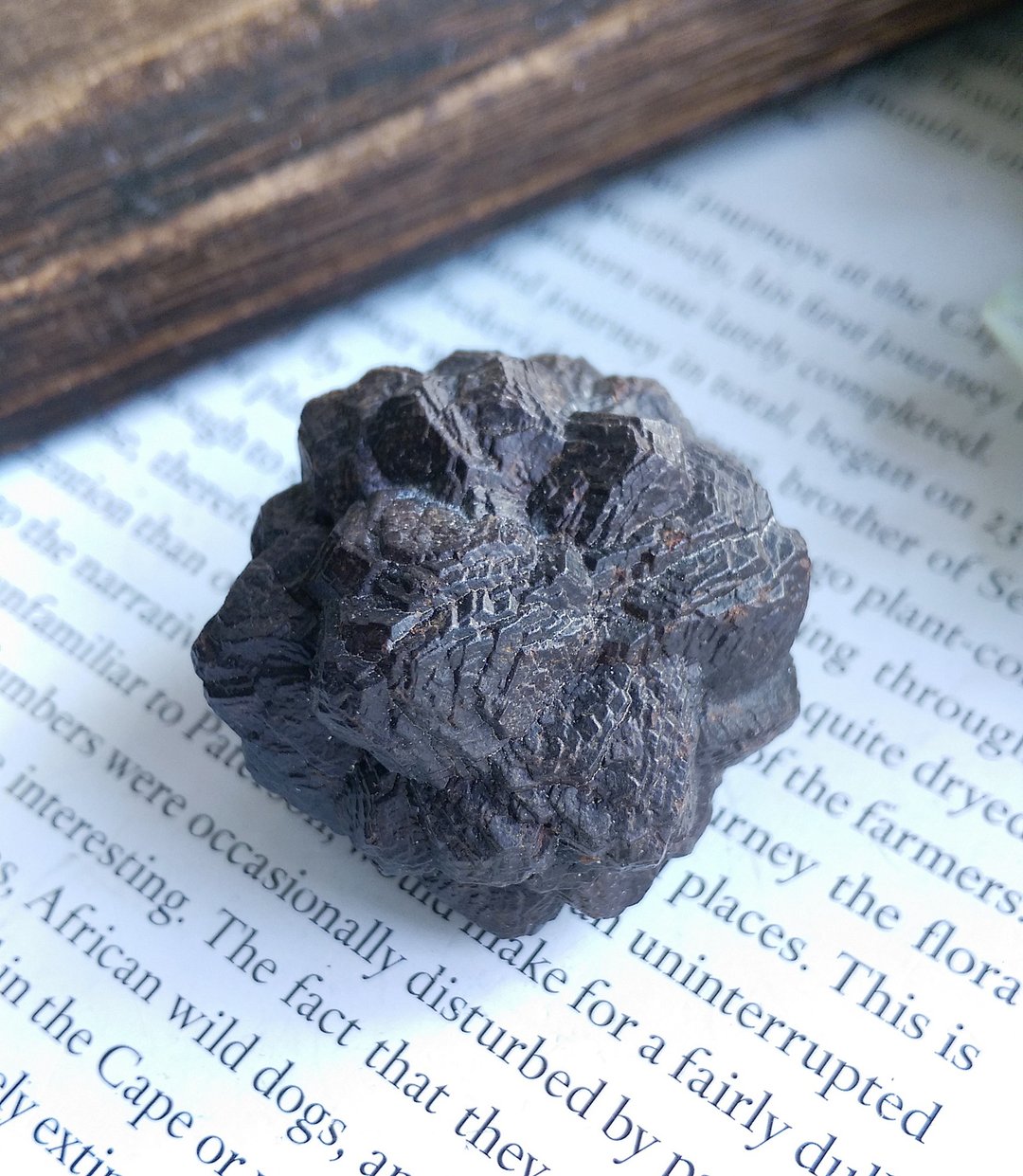 Prophecy Stone 埃及产地 埃及预言石  假象矿物 天然矿石 原矿 - 摆饰 - 其他材质 