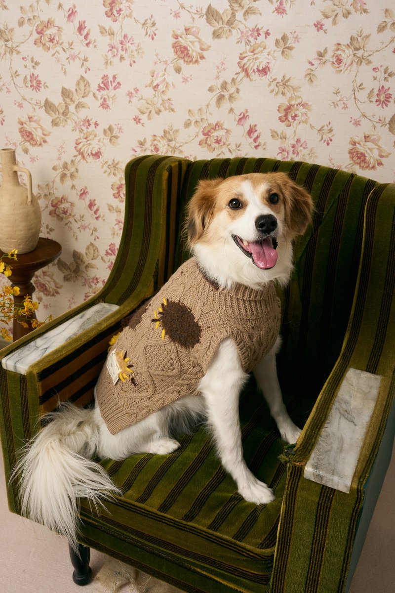 MULTI LAB - 504 BROWN - 衣/帽 - 羊毛 多色