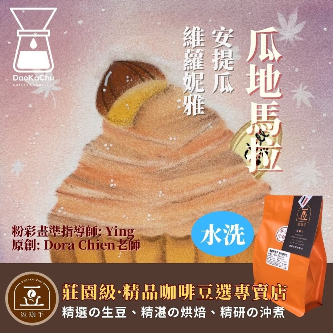 危地马拉 安提瓜 维萝妮雅 SHB 水洗 | 中焙 精品咖啡豆选专卖店 - 咖啡 - 新鲜食材 
