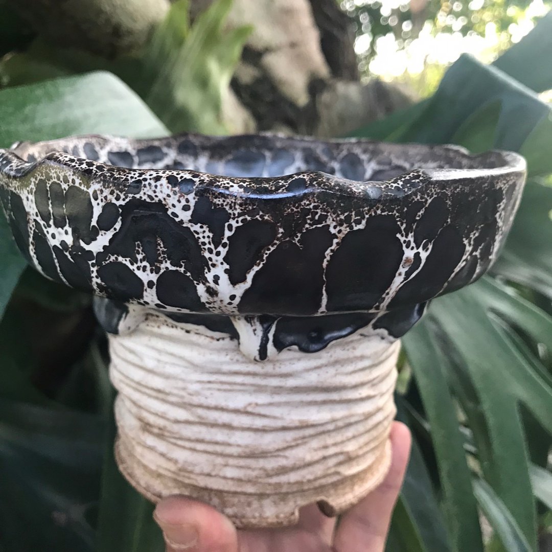 滴墨豹系列//首发 油滴天目垂珠盆钵 - 植栽/盆栽 - 陶 黑色
