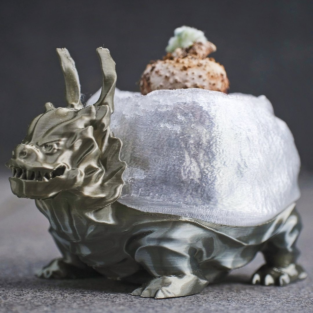 【龙龟】植物盆器 块根盆 多肉盆 3d打印 盆器 龟甲龙 象牙宫 - 植栽/盆栽 - 塑料 卡其色