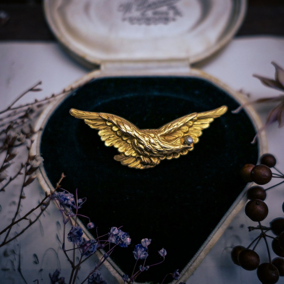 ORIA 法国百年雄鹰展翅胸针—欧洲古董首饰 Vintage Jewelry - 胸针 - 其他金属 