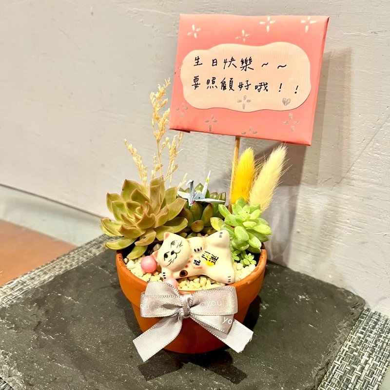 台中多肉组盆 多肉植物 日式枯山水 招财猫咪 日本 疗愈盆栽 礼物 - 植栽/盆栽 - 植物．花 绿色