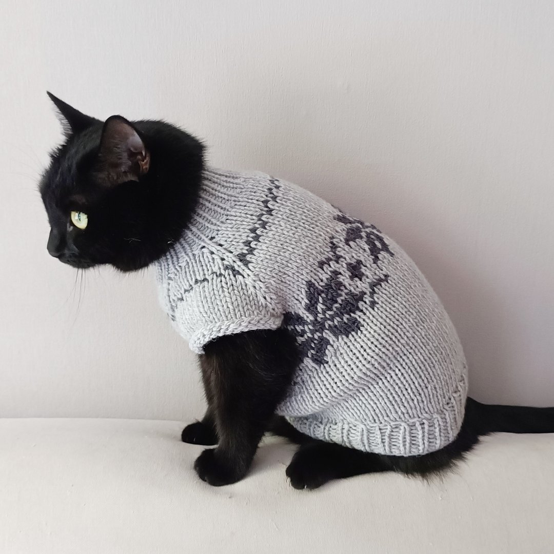 猫毛衣 猫衣服 宠物毛衣 狗狗毛衣 斯芬克斯猫毛衣 - 衣/帽 - 羊毛 