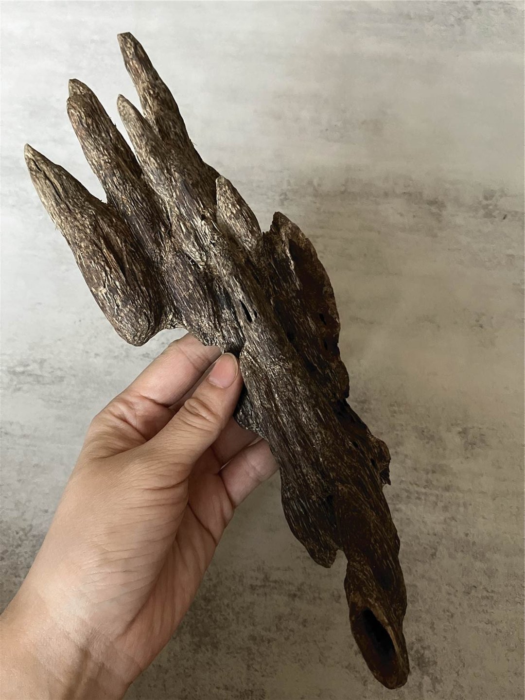 【稀少款】野生北干达鲁沉香摆件-Do风沉香(内可挑造型) - 摆饰 - 木头 