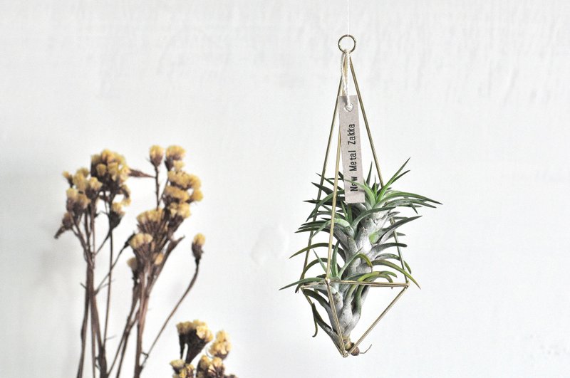 空气凤梨/漂浮挂饰/三角型/金色/中 - 植栽/盆栽 - 其他金属 金色