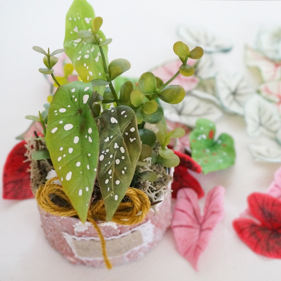新品 热植小盆栽 - 摆饰 - 粘土 
