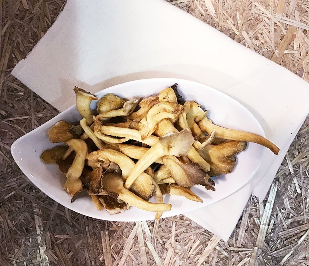 【好日好食】好果系列 顶级秀珍菇脆片(3入组) - 其他 - 其他材质 