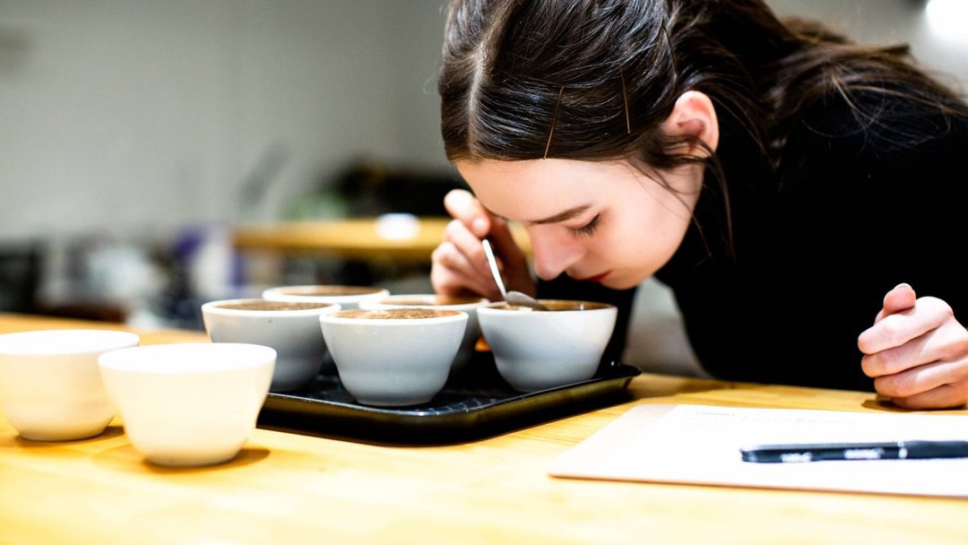 SCA Sensory Skills Professional 国际咖啡感官课程 - 美食 - 其他材质 