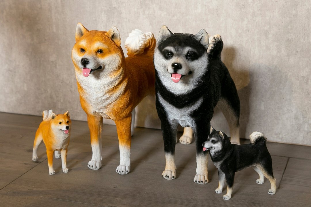 柴犬大学 拟真柴犬摆饰 - 摆饰 - 树脂 黑色