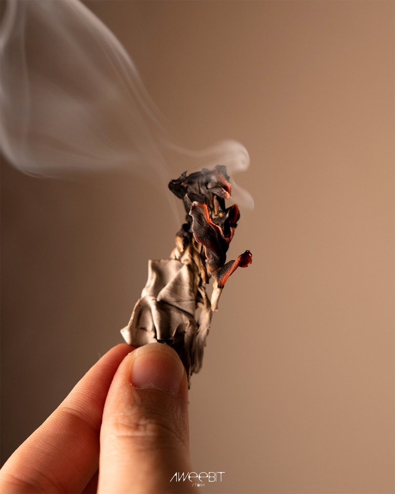 鼠尾草灵烟之羽 - 香薰/精油/线香 - 植物．花 卡其色