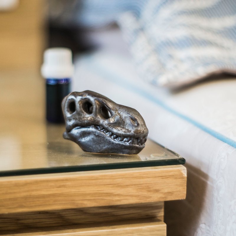 暴龙头化石扩香 - 香薰/精油/线香 - 陶 白色