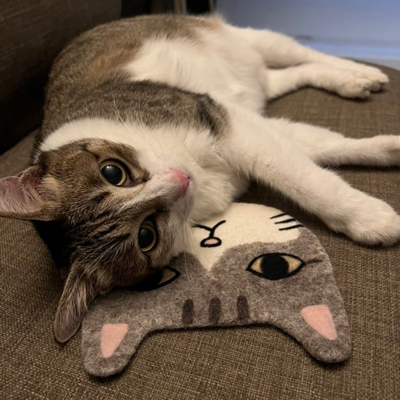 【定制化自家猫咪】羊毛毡杯垫/隔热垫  全手工 原创设计 - 杯垫 - 羊毛 多色