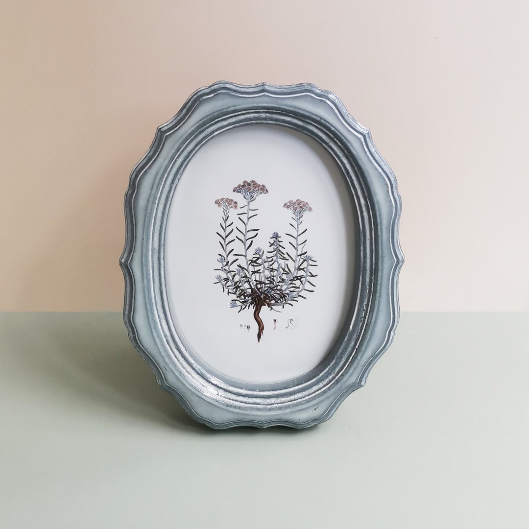 Vintage Rose charming photo frame glossy color oval shape modern vintage style - 画框/相框 - 木头 灰色