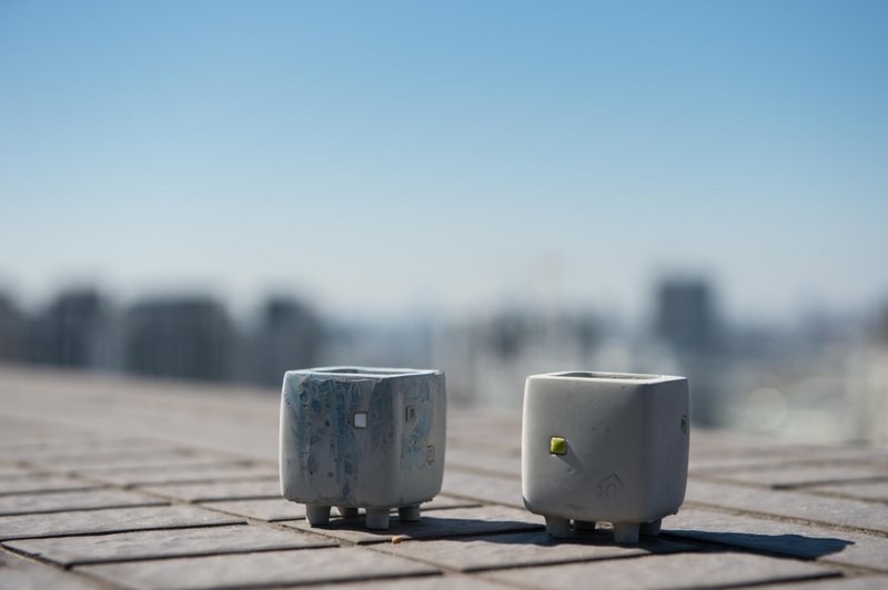 水泥器皿 /小公寓 4入一组不含植栽 - 植栽/盆栽 - 水泥 灰色