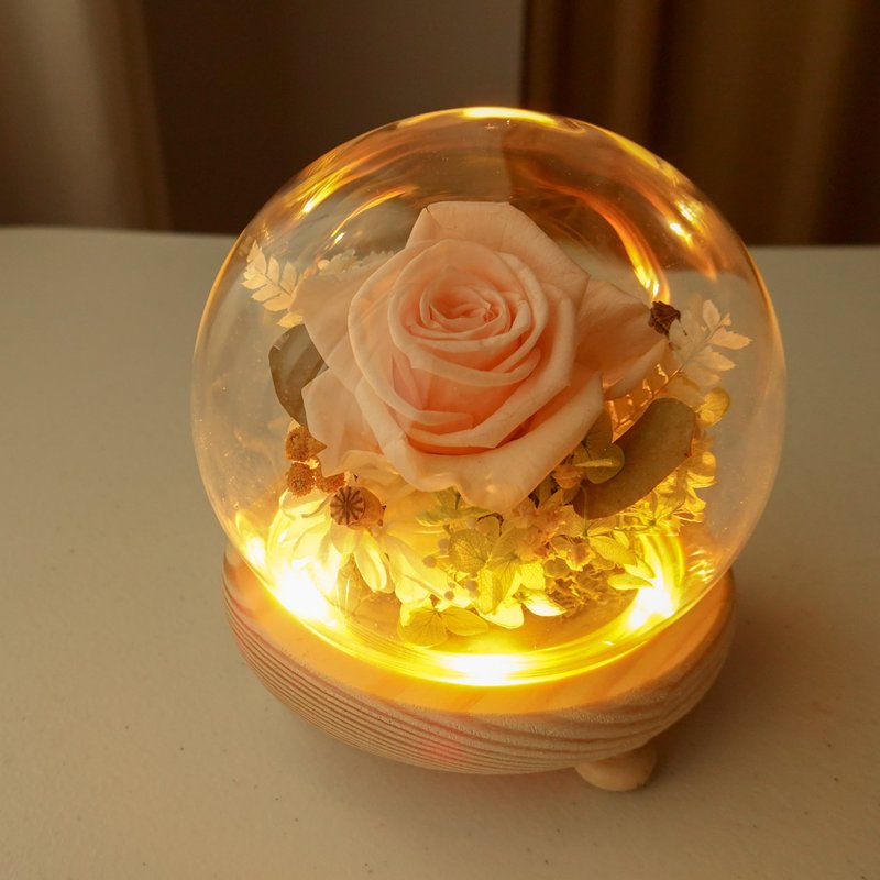 夜灯玻璃盅-蜜桃色 - 干燥花/捧花 - 植物．花 橘色