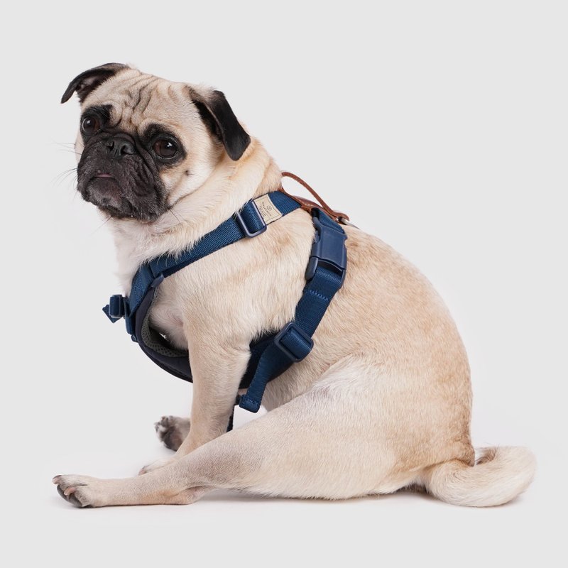 SPUTNIK 胸背带 - 蓝 (M) - 其他 - 其他材质 蓝色