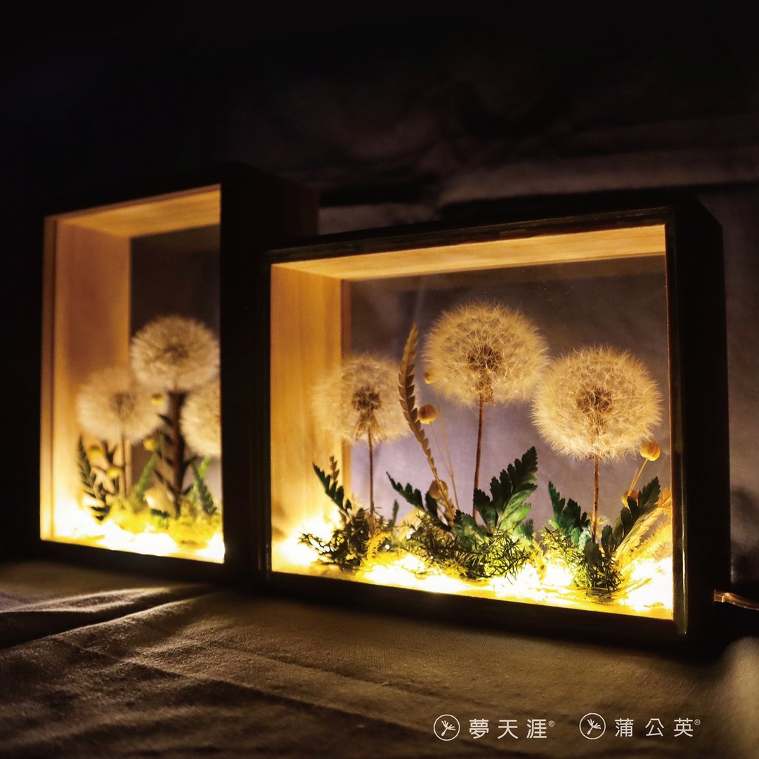 梦天涯 蒲公英冰砖 - 蒲公英永生花 玻璃画框 - 灯 - 摆饰 - 植物．花 白色