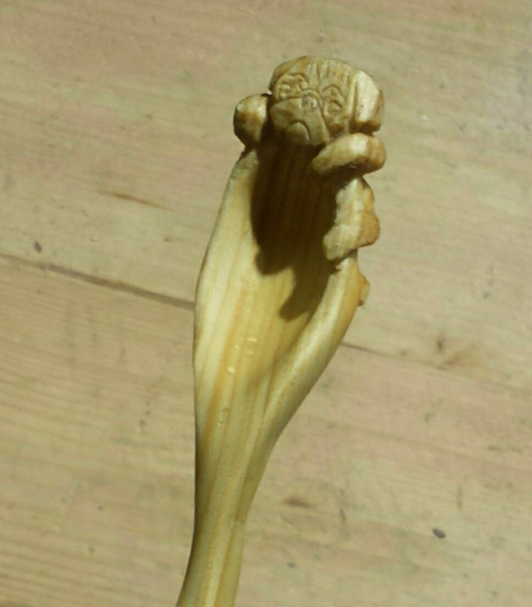 八哥贪食木汤匙 - 木工/竹艺/纸艺 - 木头 橘色