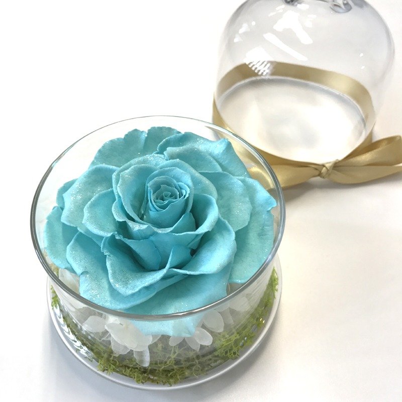 《NEW》 钻石不凋花玫瑰花玻璃罩 薄荷绿 - 植栽/盆栽 - 玻璃 绿色