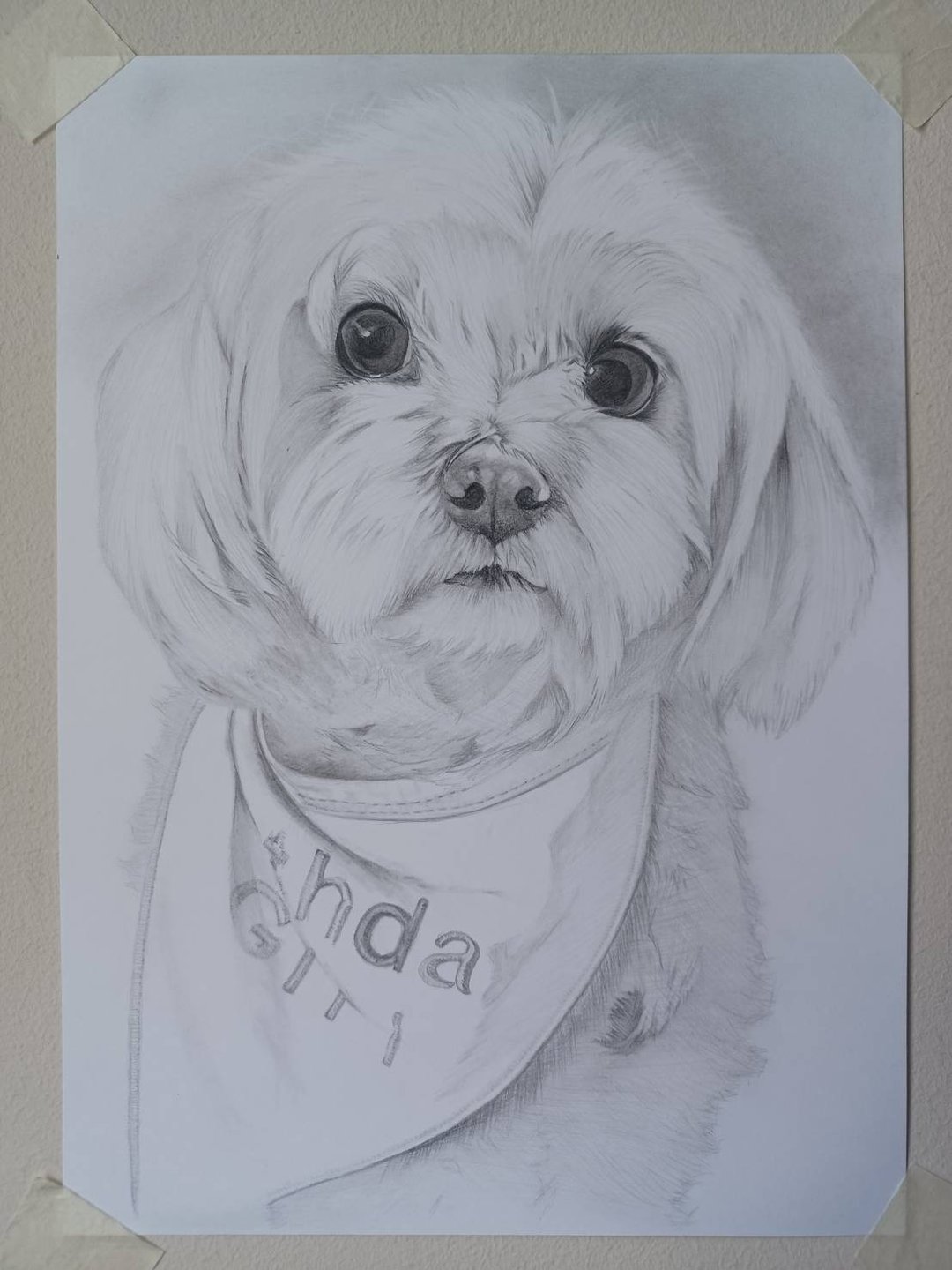 Custom Pet Portrait From Photo, Personalized Pencil Hand Drawing Sketch. Perfect - 墙贴/壁贴 - 纸 