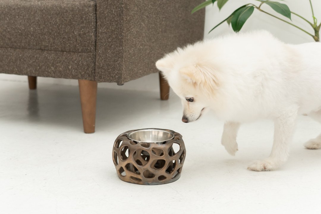 Golden eaten  cabbage pet bowl, Cat bowl,Dog bowl,Puppies bowl,Food bowl - 碗/碗架 - 陶 金色